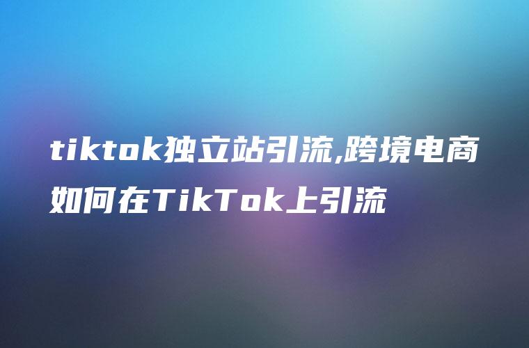 tiktok独立站引流,跨境电商如何在TikTok上引流