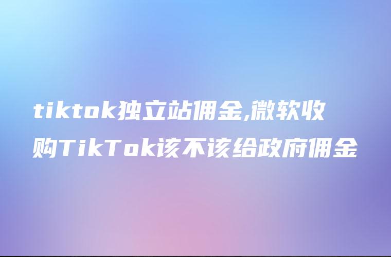tiktok独立站佣金,微软收购TikTok该不该给政府佣金