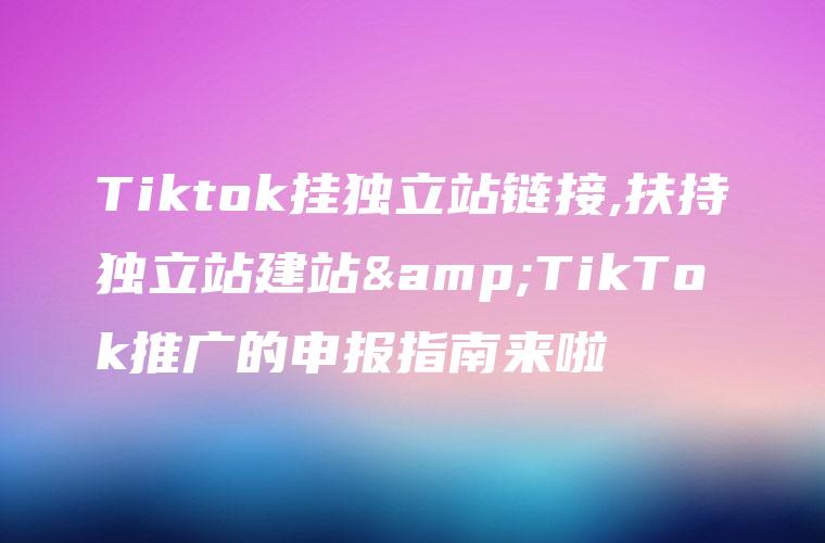 Tiktok挂独立站链接,扶持独立站建站&TikTok推广的申报指南来啦