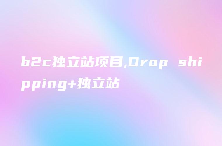 b2c独立站项目,Drop shipping+独立站