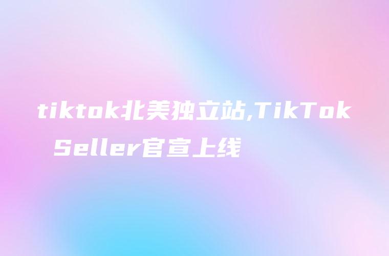 tiktok北美独立站,TikTok Seller官宣上线