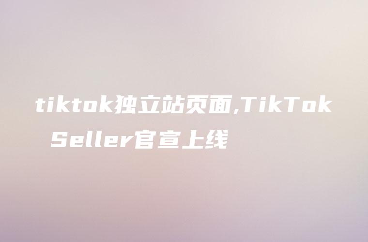 tiktok独立站页面,TikTok Seller官宣上线