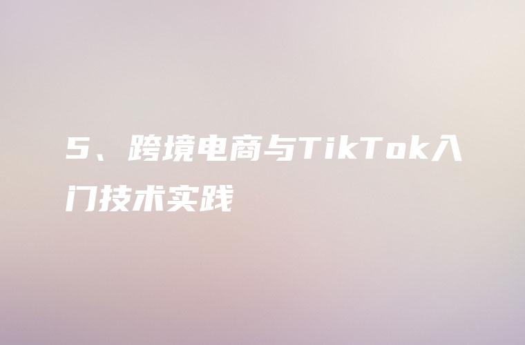 5、跨境电商与TikTok入门技术实践