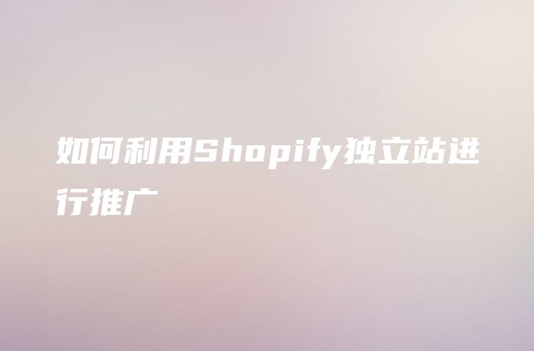 如何利用Shopify独立站进行推广