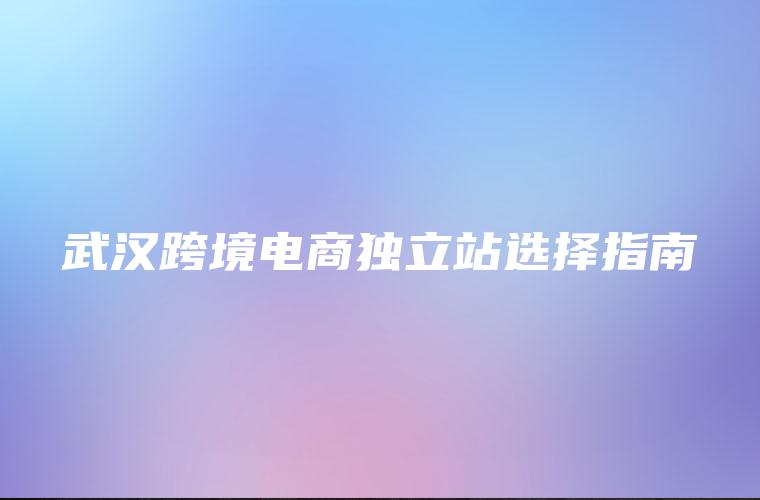 武汉跨境电商独立站选择指南