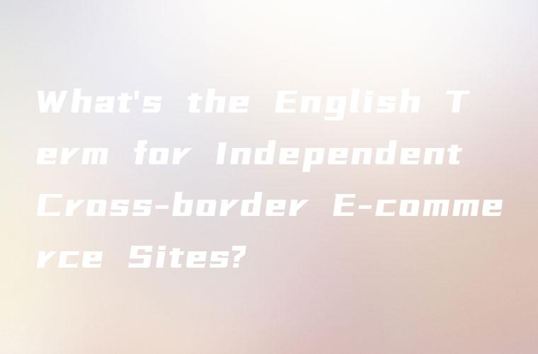 What’s the English Term for Independent Cross-border E-commerce Sites?