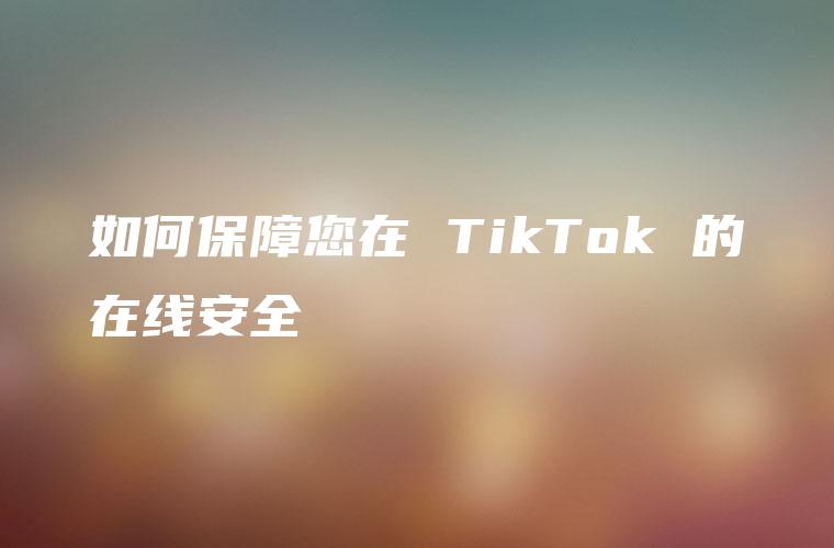 如何保障您在 TikTok 的在线安全