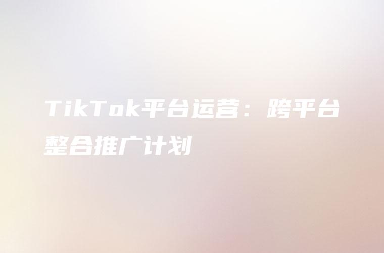 TikTok平台运营：跨平台整合推广计划