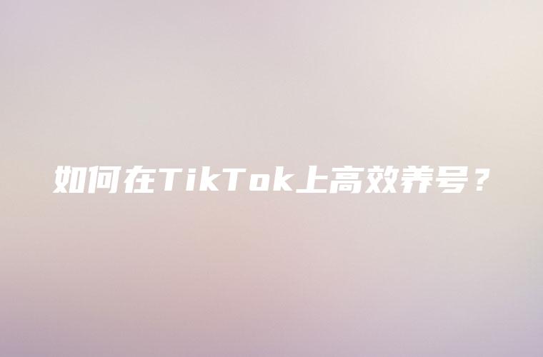 如何在TikTok上高效养号？