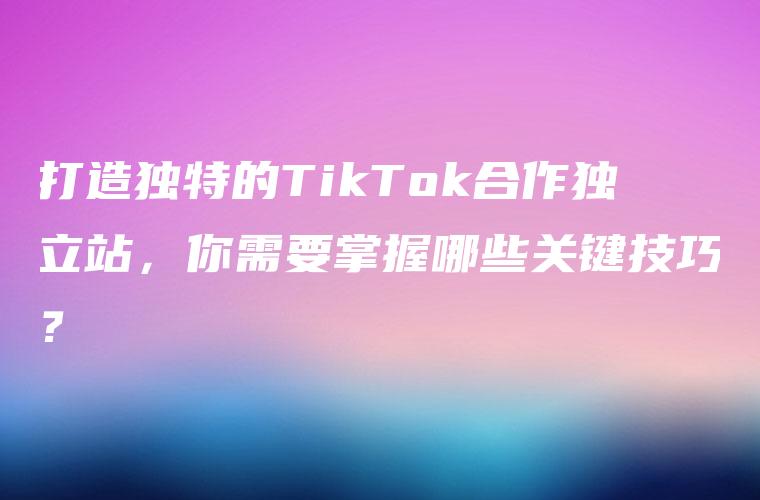 打造独特的TikTok合作独立站，你需要掌握哪些关键技巧？