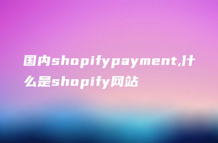 国内shopifypayment,什么是shopify网站