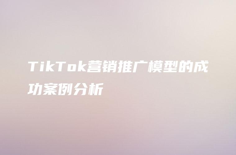 TikTok营销推广模型的成功案例分析