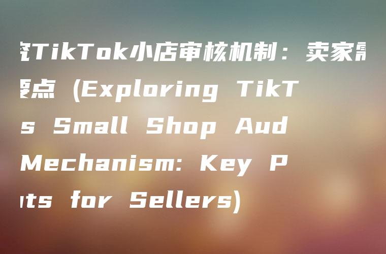 探究TikTok小店审核机制：卖家需知的要点 (Exploring TikTok’s Small Shop Audit Mechanism: Key Points for Sellers)