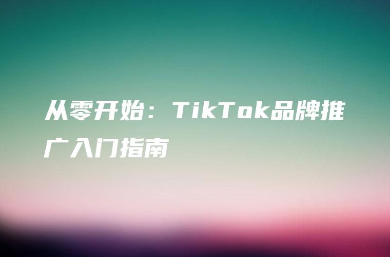 从零开始：TikTok品牌推广入门指南