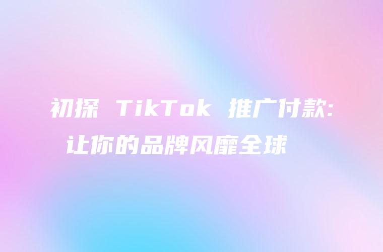 初探 TikTok 推广付款: 让你的品牌风靡全球
