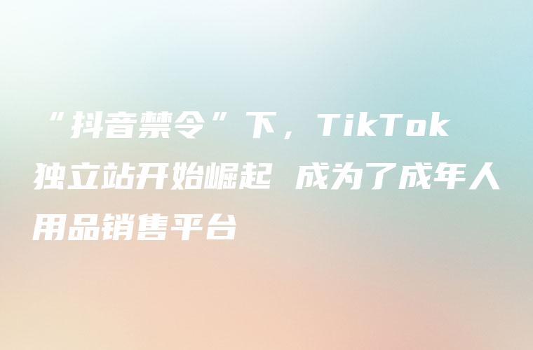“抖音禁令”下，TikTok独立站开始崛起 成为了成年人用品销售平台