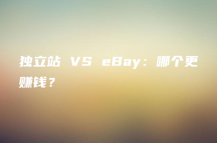 独立站 VS eBay：哪个更赚钱？