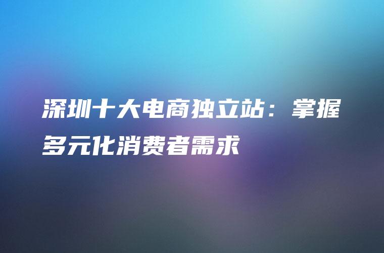 深圳十大电商独立站：掌握多元化消费者需求