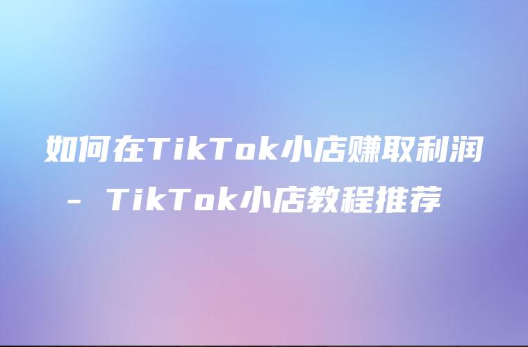 如何在TikTok小店赚取利润 – TikTok小店教程推荐