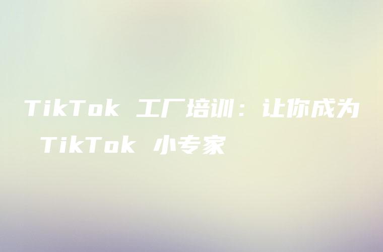 TikTok 工厂培训：让你成为 TikTok 小专家