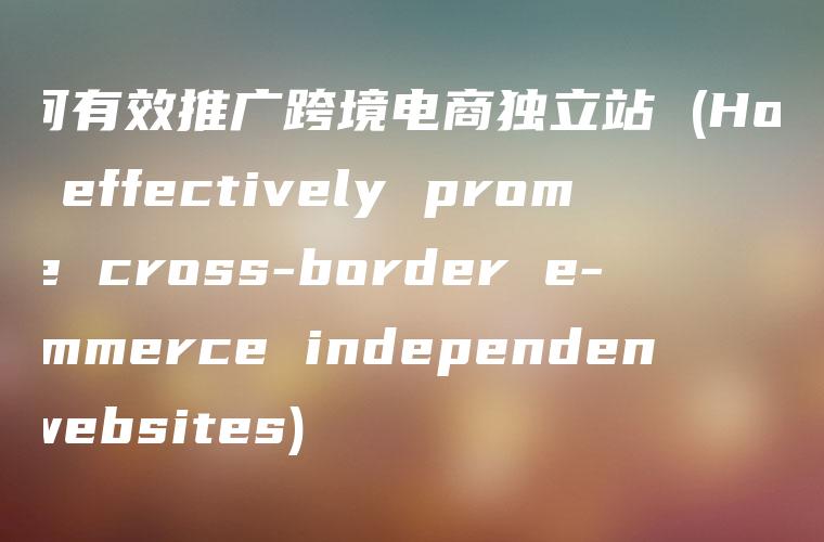 如何有效推广跨境电商独立站 (How to effectively promote cross-border e-commerce independent websites)