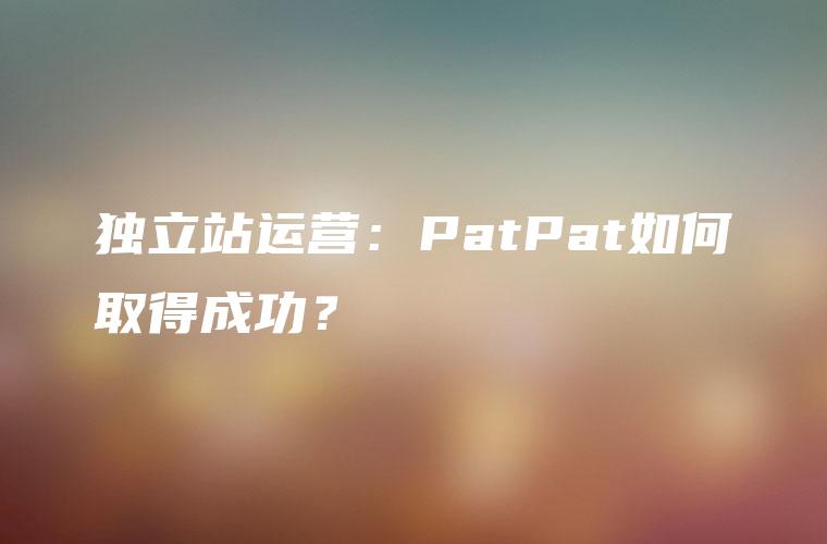 独立站运营：PatPat如何取得成功？