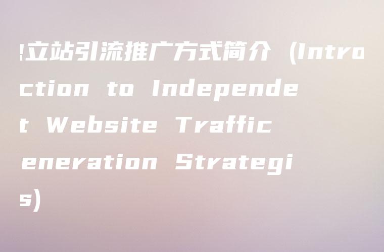 独立站引流推广方式简介 (Introduction to Independent Website Traffic Generation Strategies)