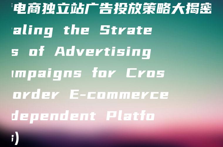 跨境电商独立站广告投放策略大揭密 (Revealing the Strategies of Advertising Campaigns for Cross-Border E-commerce Independent Platforms)