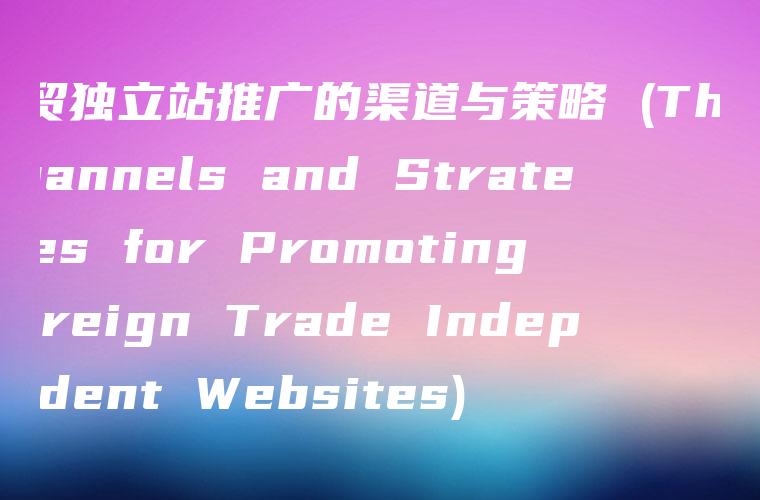 外贸独立站推广的渠道与策略 (The Channels and Strategies for Promoting Foreign Trade Independent Websites)