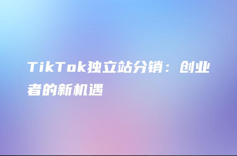 TikTok独立站分销：创业者的新机遇