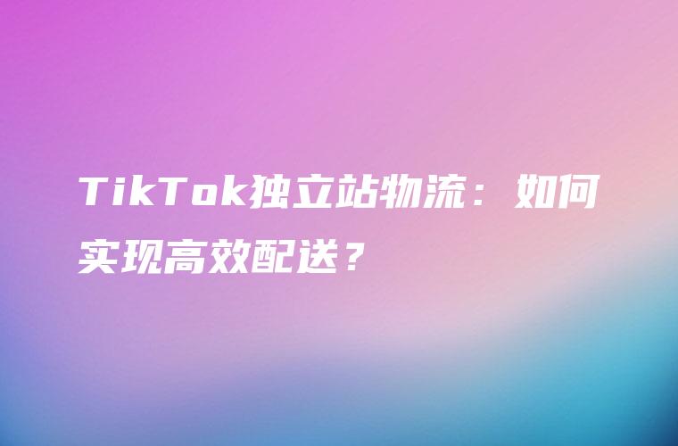 TikTok独立站物流：如何实现高效配送？
